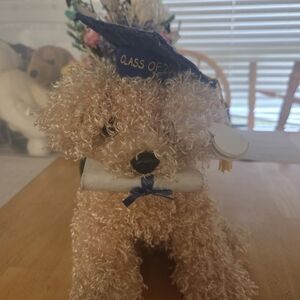 Graduation Teddy Bear with Cap and Diploma